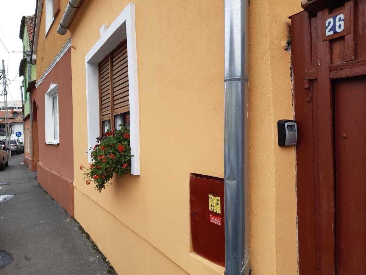 Flh - Studio Mai Cu Aroma De Cafea Si Ceai Sibiu Exteriör bild