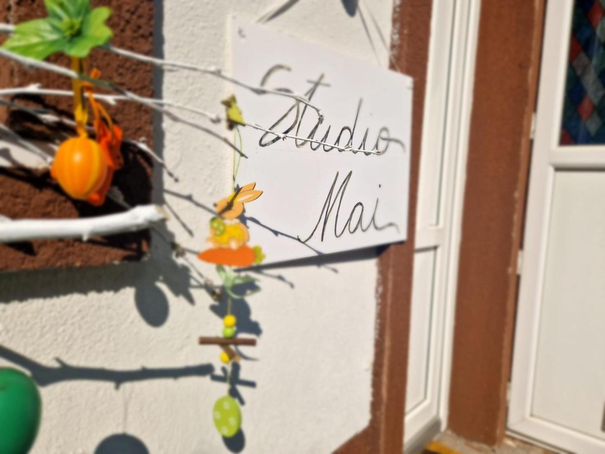 Flh - Studio Mai Cu Aroma De Cafea Si Ceai Sibiu Exteriör bild