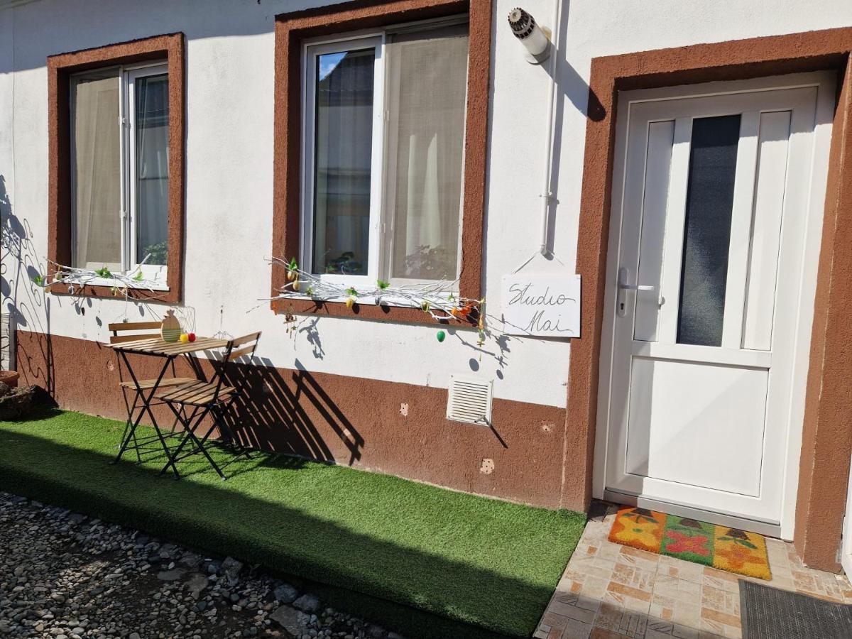 Flh - Studio Mai Cu Aroma De Cafea Si Ceai Sibiu Exteriör bild